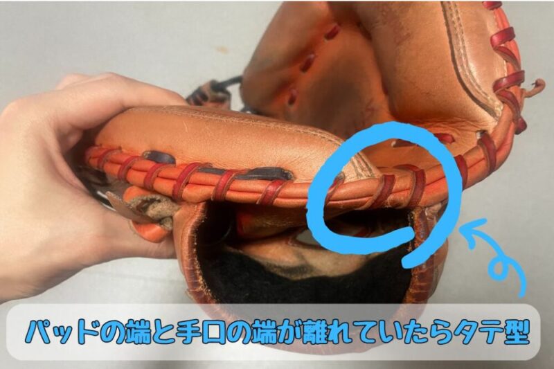 キャッチャーミットの「縦型」と「横型」を見分ける方法