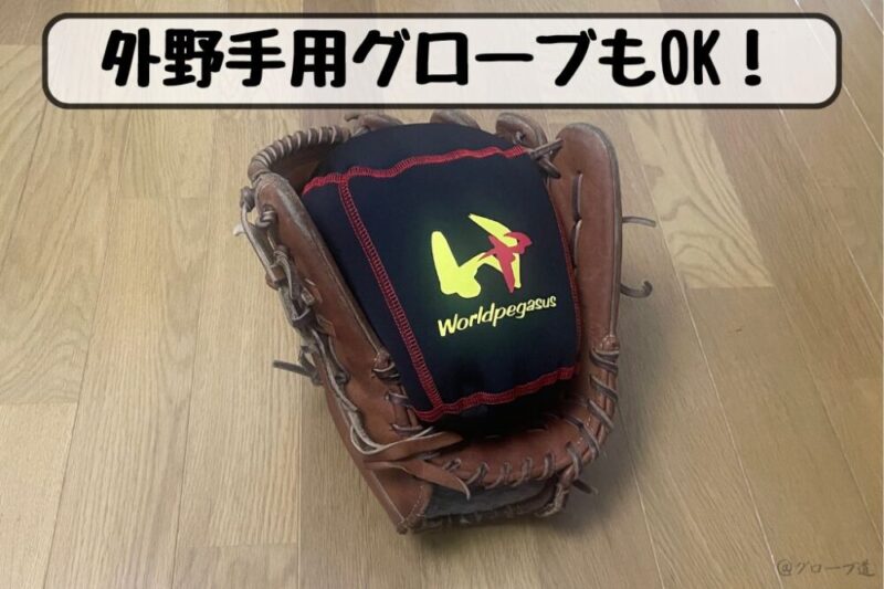 外野手用グローブに、グラブピローを装着した写真