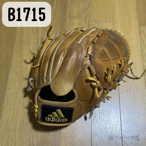 計測に使用したグローブ（B1715）の背面の写真