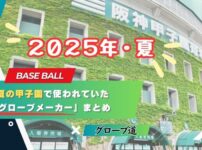 2025年夏の甲子園で使われていた「珍しいグローブメーカー」まとめ