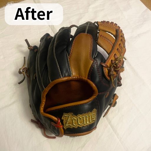 プロティオス_メンテナンス（アフター）