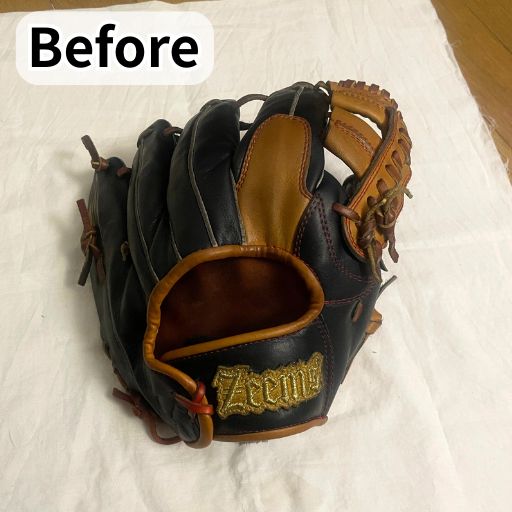 プロティオス_メンテナンス（ビフォー）