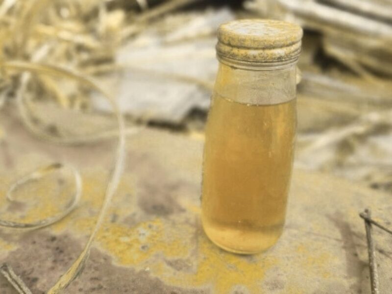 グラブオイルの成分（加脂剤）