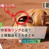 野球グローブの薬指リングとは？対応メーカーと既製品モデルまとめ【最新版】