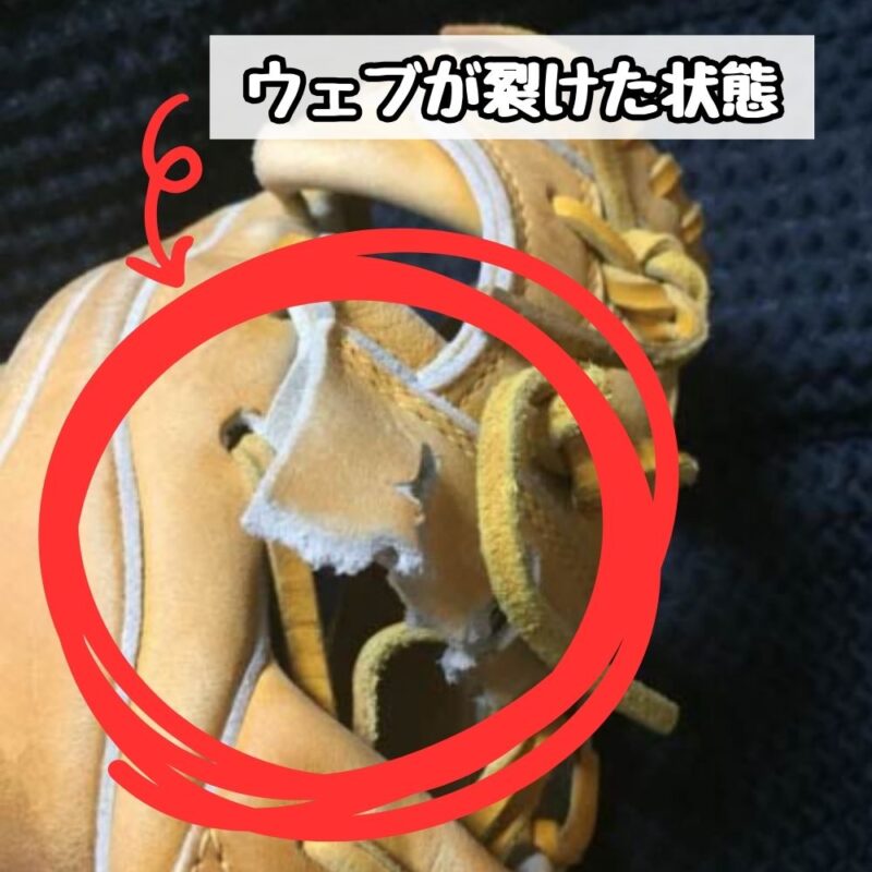 ウェブが裂けた状態の写真